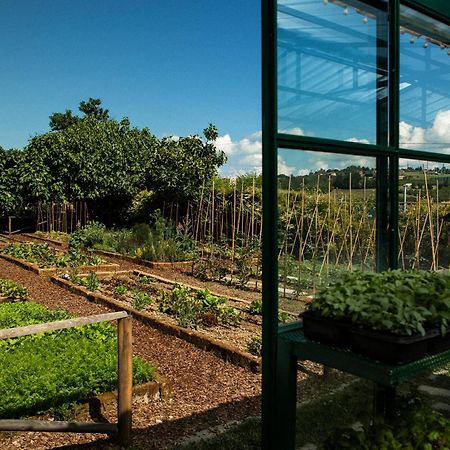 Coltivare Agrirelais La Morra Exteriér fotografie
