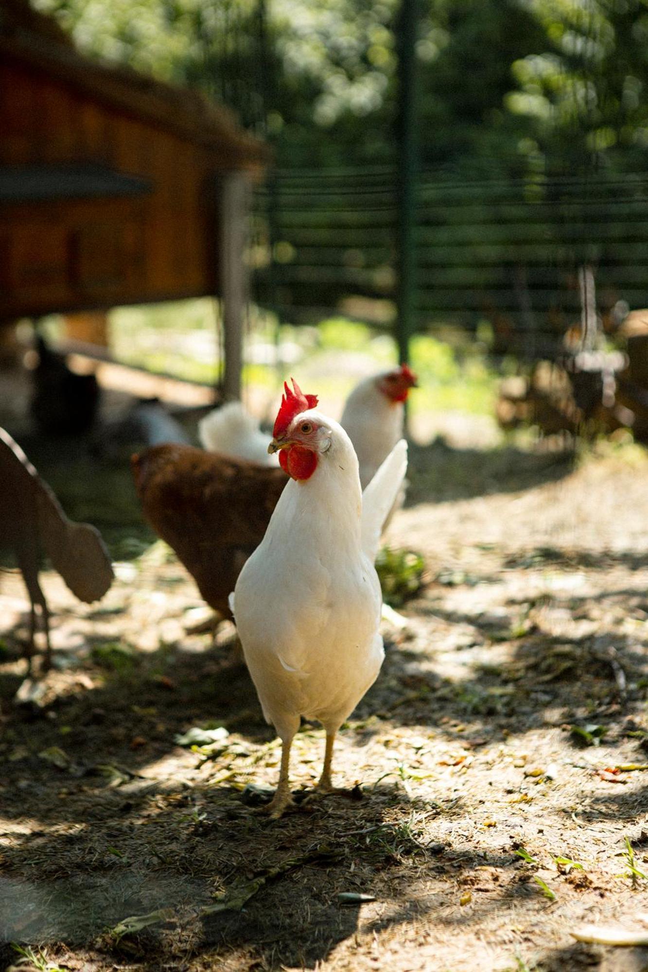 Coltivare Agrirelais La Morra Exteriér fotografie