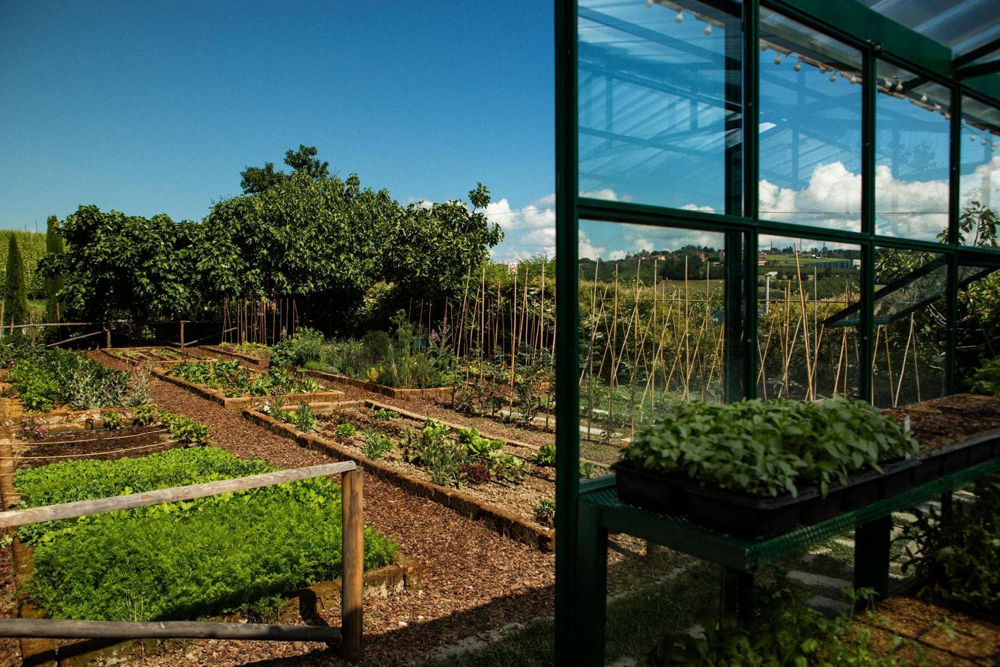 Coltivare Agrirelais La Morra Exteriér fotografie